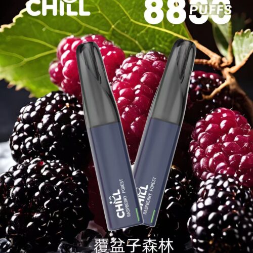 始祖鳥 莓果