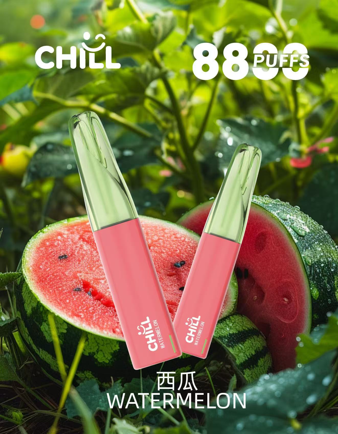 始祖鳥 西瓜